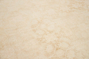 1101477 C.ANT 5'0 X 11'3 -3