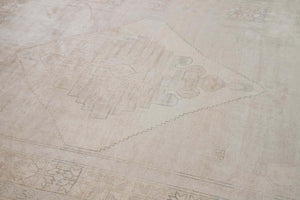 1701863 C.ANT 5'8X7'9 -3