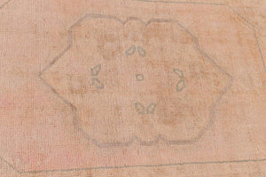 2106676 C. ANT 2'2 X 2'10 -3