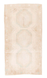 2107926 C.ANT 3'3X6'1 -1