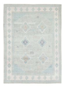 2210831 OUSHAK 8'11 X 11'11 -1 