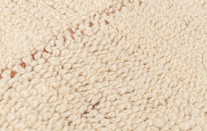2503004 FUN CARPET 9'0 X 11'10 -4
