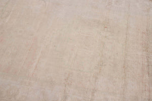 9106186 C.ANT 3'11X5'9 -3