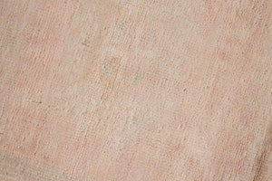 9106186 C.ANT 3'11X5'9 -4